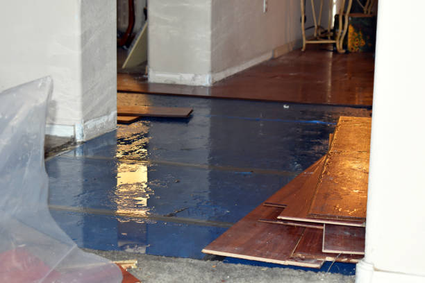 Professional Basement Water Removal technician working in Henderson, IA